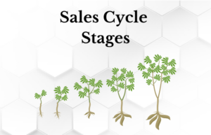 Sales Cycle Stages