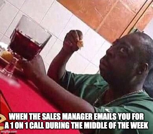 1 on 1 with sales manager sales meme