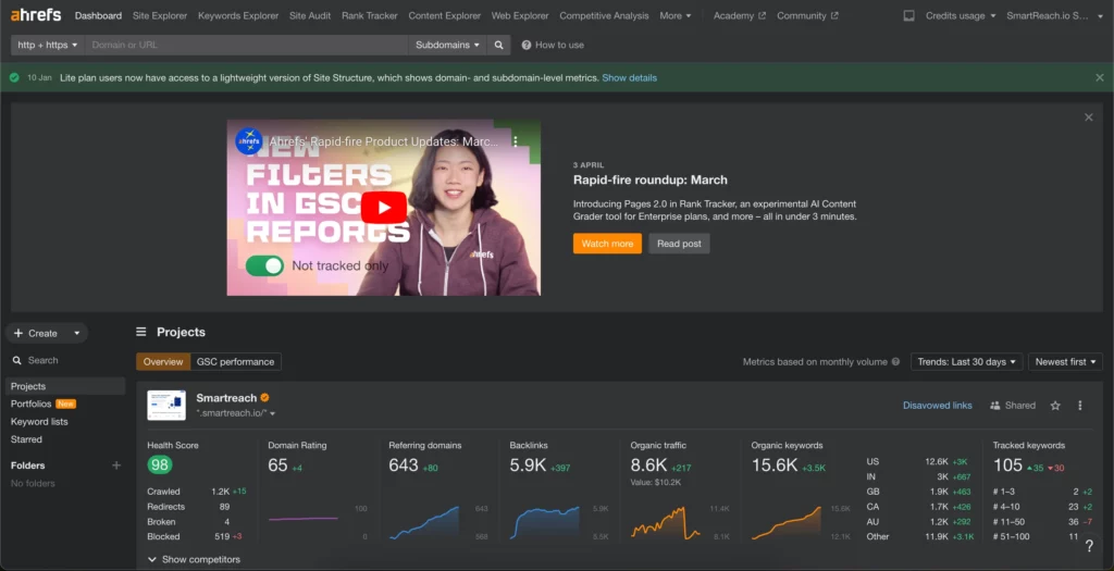 Screenshot of Ahrefs dashboard showcasing the website information