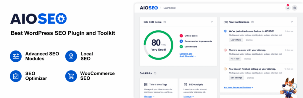 Screenshot of AIOSEO dashboard showcasing the website information