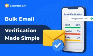 Can I verify bulk email lists automatically before importing them into my cold email tool