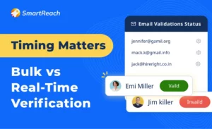 bulk vs real time email verification