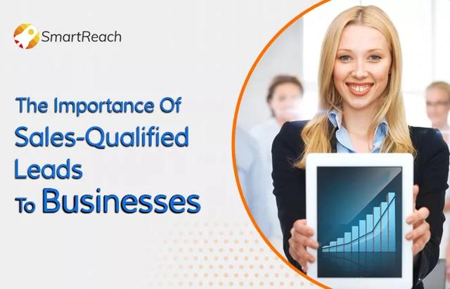 How to Increase Sales Qualified Leads? And its Importance 